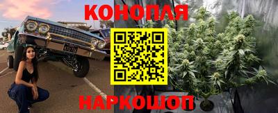 дурь Будённовск
