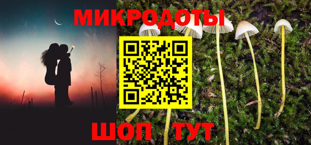 Псилоцибиновые грибы Cubensis Саратов