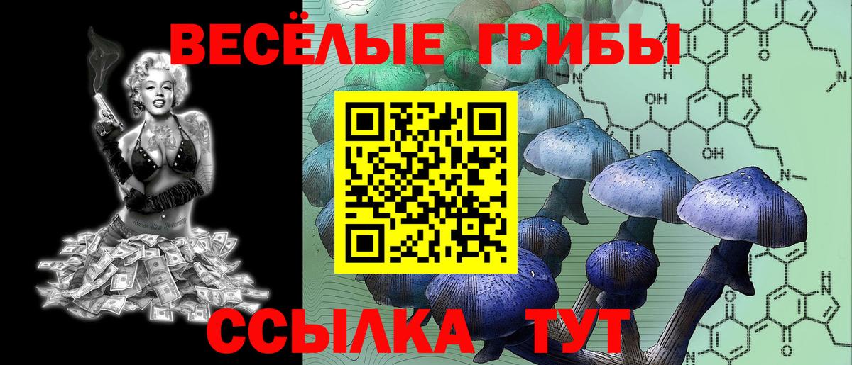 купить наркотики сайты  Галлюциногенные грибы прущие грибы  Вход с VPN  Саратов 